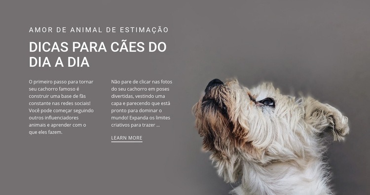 Dicas de cachorro do dia a dia Modelos de construtor de sites