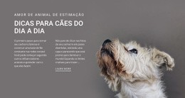 Design De Site Multifuncional Para Dicas De Cachorro Do Dia A Dia