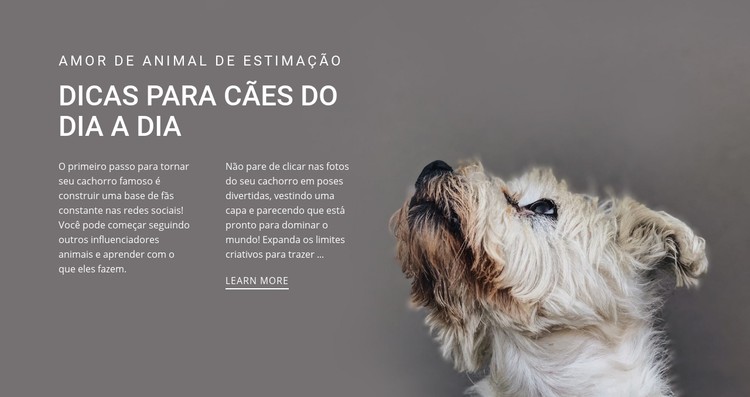 Dicas de cachorro do dia a dia Template CSS