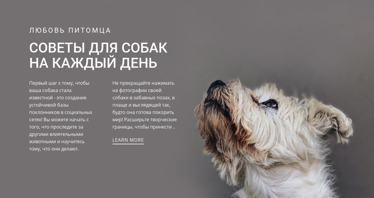 Советы для собак на каждый день Конструктор сайтов HTML