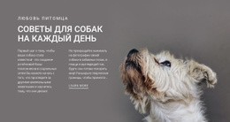 Эксклюзивный Макет Веб-Сайта Для Советы Для Собак На Каждый День