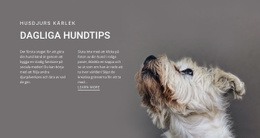 Multifunktionell Webbdesign För Dagliga Hundtips