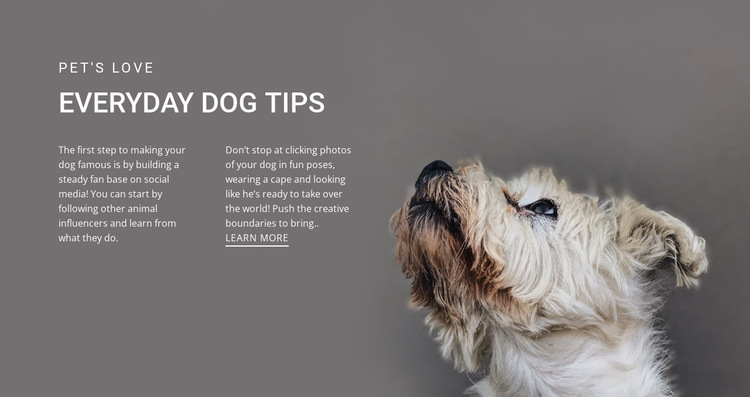 Everyday dog tips Website Builder Templates