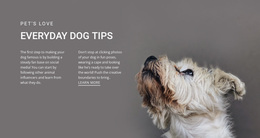 Everyday Dog Tips - Homepage Design For Inspiration