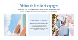 Conception De Site Web Pour Visites De La Ville Et Voyages