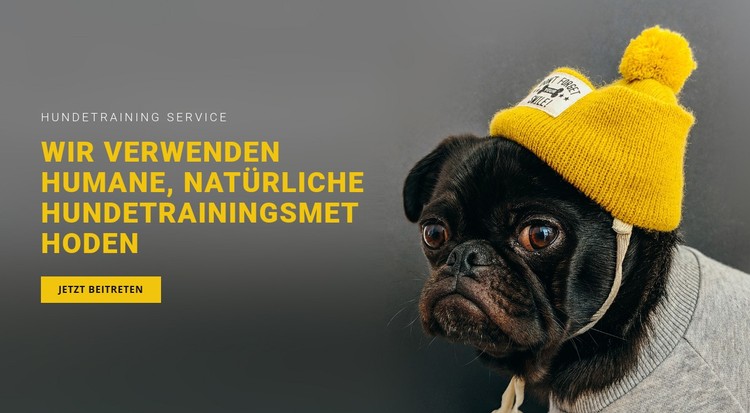 Grundlegende Hundeausbildung CSS-Vorlage