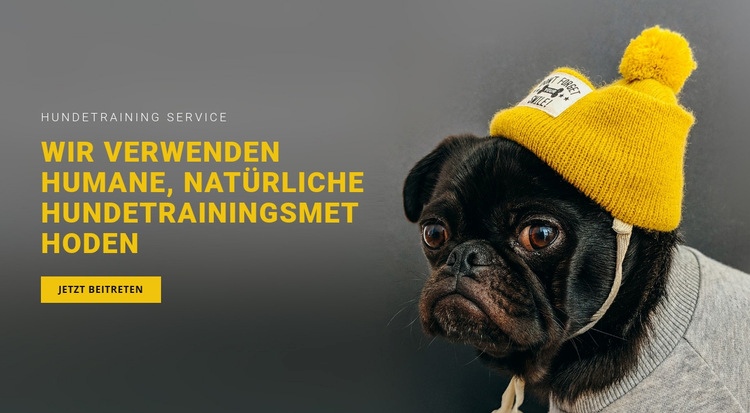 Grundlegende Hundeausbildung Eine Seitenvorlage