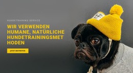 Grundlegende Hundeausbildung - Responsive Website-Vorlagen