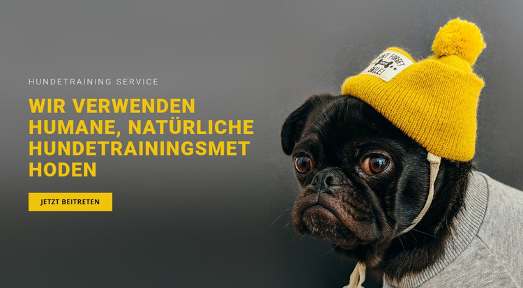 Grundlegende Hundeausbildung Website-Vorlage