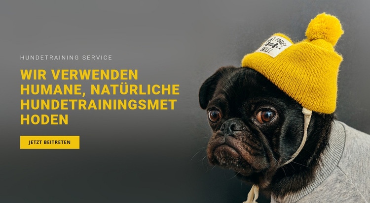 Grundlegende Hundeausbildung Landing Page