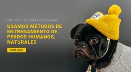 Entrenamiento Básico De Perros - Plantilla HTML