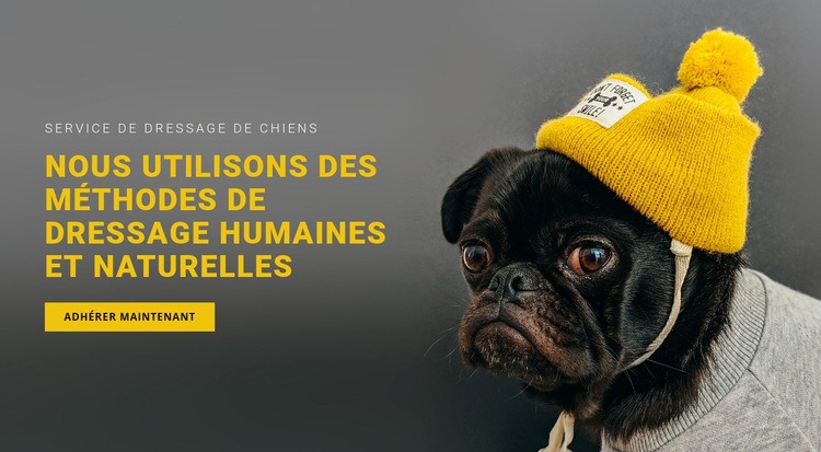 Formation de base du chien Modèles de constructeur de sites Web