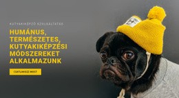 Kutya Alapképzés – Reszponzív Webhelysablonok