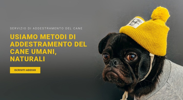 Addestramento di base del cane Modelli di Website Builder