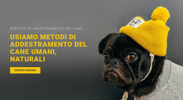 Tema WordPress Premium Per Addestramento Di Base Del Cane