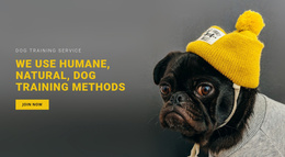 Basic Dog Training - Responsive Joomla Template