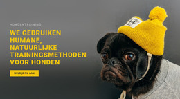 Basis Hondentraining - Volledig Responsieve Sjabloon