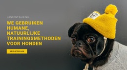 Siteontwerp Voor Basis Hondentraining