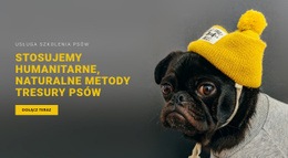 Podstawowe Szkolenie Psów - Responsywne Szablony Stron Internetowych