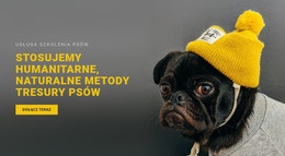 Podstawowe Szkolenie Psów