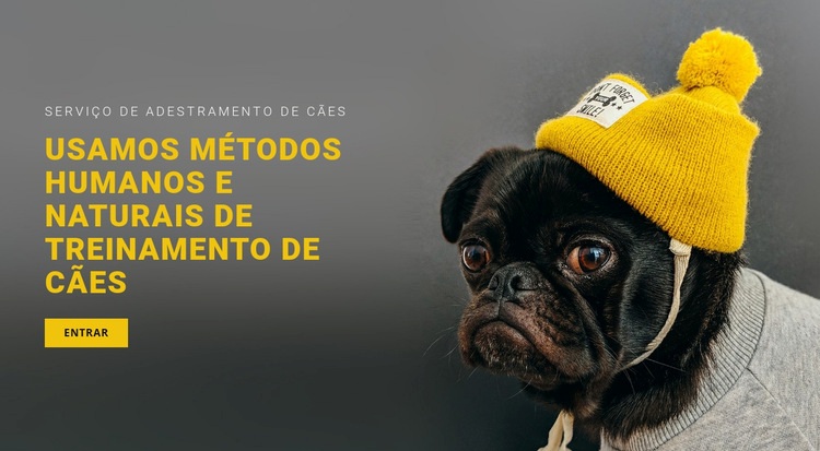 Treinamento básico de cães Design do site