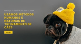 Treinamento Básico De Cães - Maquete De Webdesign