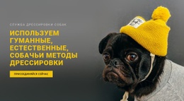 Дизайн Сайта Для Базовая Дрессировка Собак