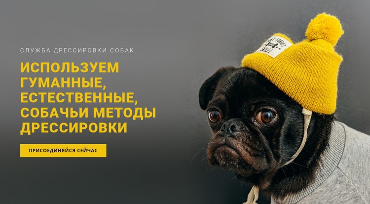 Базовая дрессировка собак Мокап веб-сайта