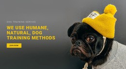 Grundläggande Hundträning - Website Creator HTML