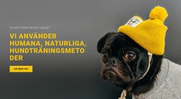 Grundläggande Hundträning - Helt Responsiv Mall