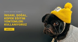 Temel Köpek Eğitimi Için Açılış Sayfası SEO'Su