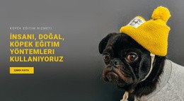 Temel Köpek Eğitimi - HTML Şablonu