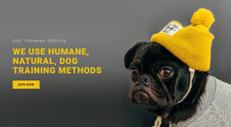 Ready To Use Web Page Design For Basic Dog Training