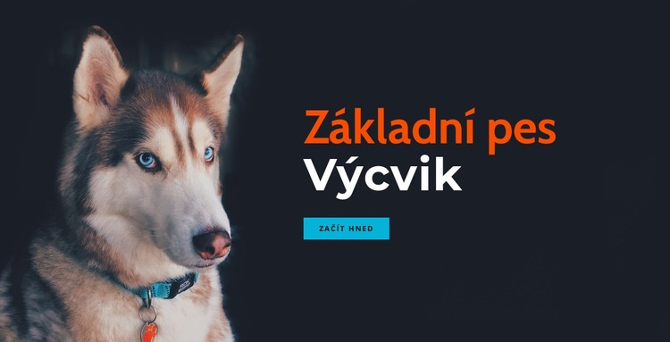 Online akademie výcviku psů Šablona webové stránky