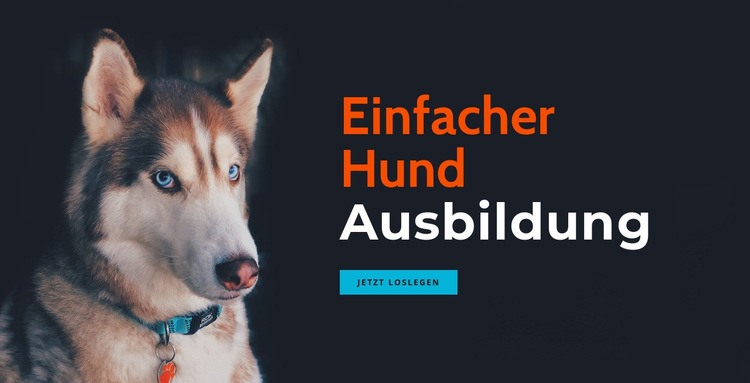 Online Hundeausbildungsakademie HTML5-Vorlage