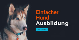 Online Hundeausbildungsakademie – Fertiges Website-Design