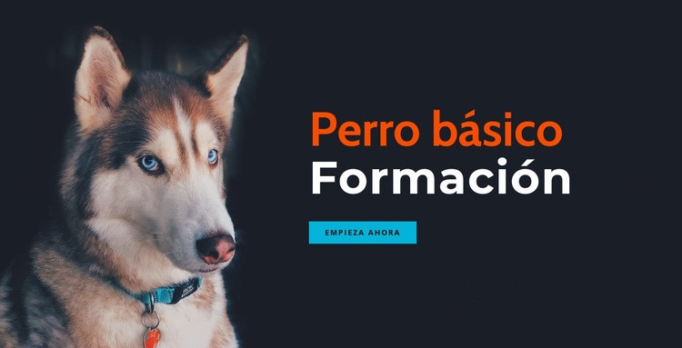 Academia de adiestramiento canino en línea Maqueta de sitio web