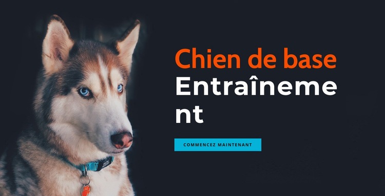 Académie de dressage de chiens en ligne Maquette de site Web