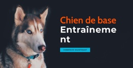 Académie De Dressage De Chiens En Ligne – Modèles De Sites Web Réactifs