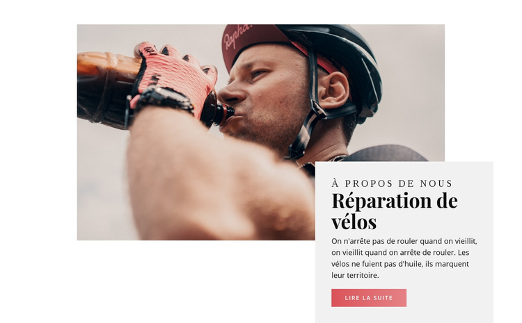 Réparation de motos et sports mécaniques Modèle de site Web