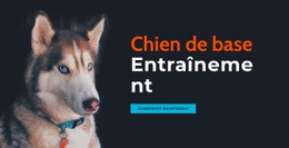 Sections De La Page D'Accueil Pour Académie De Dressage De Chiens En Ligne