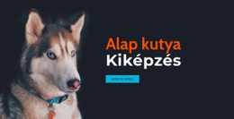 Online Kutyakiképző Akadémia - Egyszerű Webhelysablon