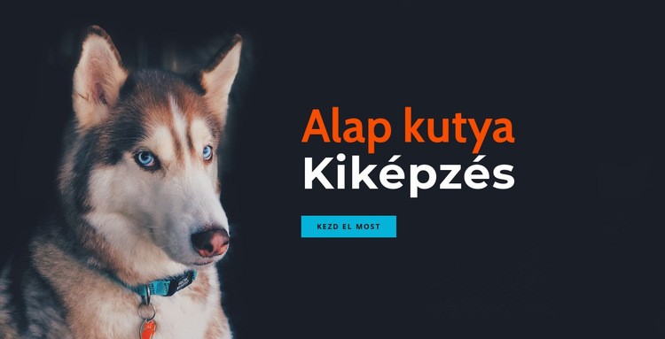 Online kutyakiképző akadémia Weboldal sablon