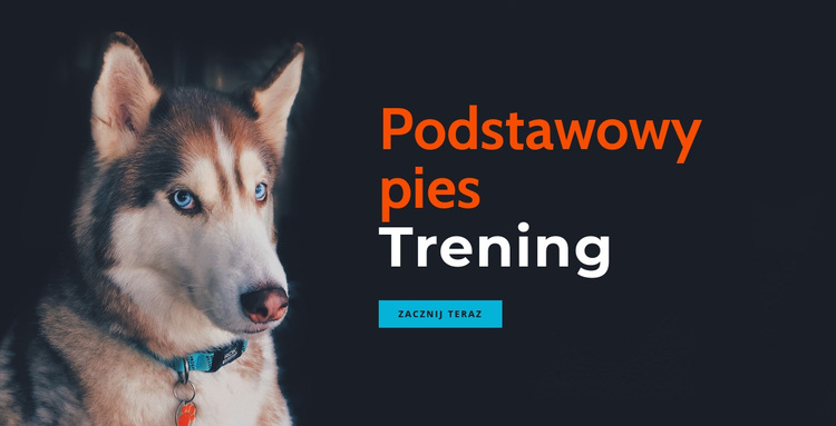 Akademia szkolenia psów online Motyw WordPress