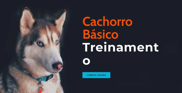 Academia de treinamento de cães online Design do site