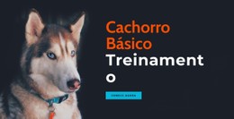 Academia De Treinamento De Cães Online Modelo Limpo E Mínimo