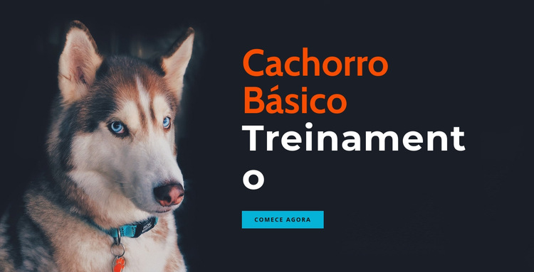 Academia de treinamento de cães online Modelo de site