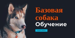 Целевая Страница Для Онлайн-Академия Дрессировки Собак