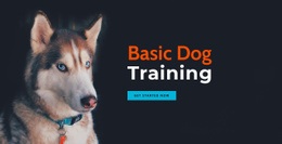 Online Hundträningsakademi - Online HTML Generator