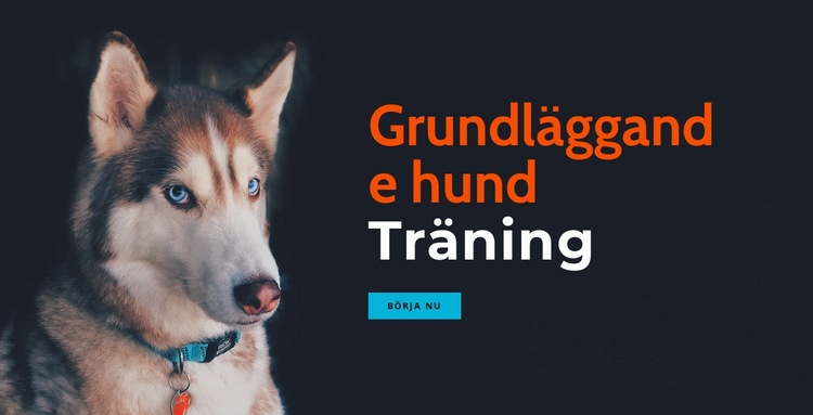 Online hundträningsakademi CSS -mall